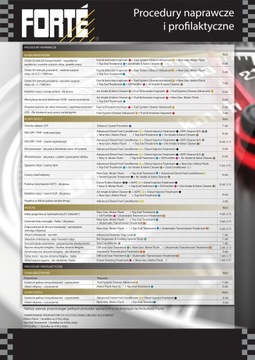 Forte Fuel System Cleaner Advanced – Бензин