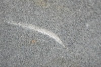 фото thumb №7, Правая обивка багажника audi q5 fy 80a863880t 2.0l дизель 140kw 2018