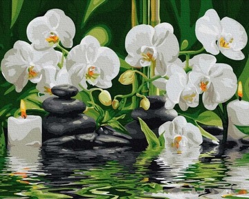 Картина для КРАСКИ ПО ЦИФРАМ Без рамки ARTNAPI