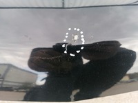 фото thumb №8, Капот кришка nissan x-trail t30 lift 04-07