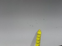 фото thumb №13, Kia picanto ii 3d задня кришка багажника багажника ud