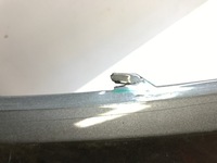 фото thumb №9, Porsche cayenne iii 9y0 turbo gts бампер перед 9y0807221b