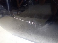 фото thumb №3, Дверь левая передние перед toyota camry viii 18-