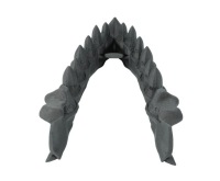 Челюсть дракона с набором кубиков из драконьих зубов — Dragon Teeth Dice Set