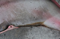 фото thumb №15, Крыло правый перед corolla verso ii 04-06r