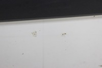 фото thumb №7, Renault kangoo ii 07r- дверь левая боковой сдвижные ov389 o389 0389