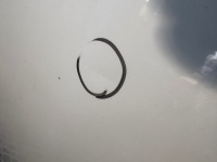 Купить Капот mini cooper countryman r60, фото thumb