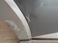 фото thumb №10, Дверь hyundai ioniq 5 v задние правое