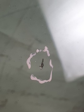 фото thumb №6, Стекло лобовое + датчик оригинальный номер 4e0955559b audi a6 c6 sedan 05r.