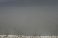 фото thumb №7, Дверь левый перед mercedes slk r171 c775