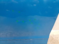 фото thumb №6, Двері передні перед ліва hyundai kona 2017-