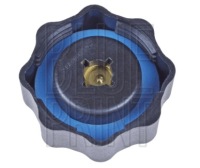 Крышка радиатора mini Доставка, фото thumb