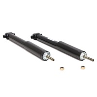 фото thumb №3, Набор амортизаторов "ms" задняя renault ve