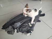 фото thumb №13, Opel mokka корпус фильтра воздуха 1.7cdti