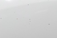 Капот кришка двигуна білий dacia dokker 1 1 рестайлінг  17-21 Недорого, фото thumb