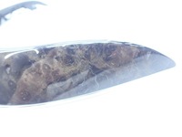 фото thumb №12, 4h0881607 планка dekor сидіння l / p audi a8 d4 4h