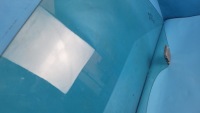 фото thumb №7, Peugeot 508 ii 22r скло бокова двері праві зад універсал 9818849680