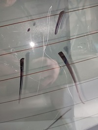 фото thumb №9, Стекло задняя hyundai kona 2017- as3 oryginalnie тонированная царапины