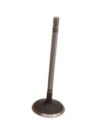 фото thumb №1, Клапан всмоктуючий бензин 5,0 na v8 land rover range rover lr010699