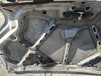 фото thumb №3, Капот ford transit connect mk1 цвет белый