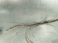 фото thumb №6, Гальмо ручний електричний renault espace iv 8200316575 1.9 dci