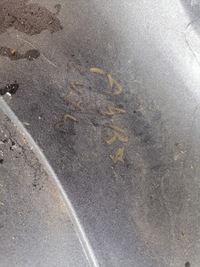 фото thumb №13, Бампер audi a4 b7 ксенон pdc ly7w