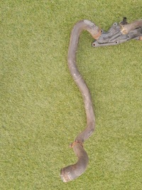 фото thumb №1, Waz шланг нижний wody sandero ii logan ii 0.9 tce