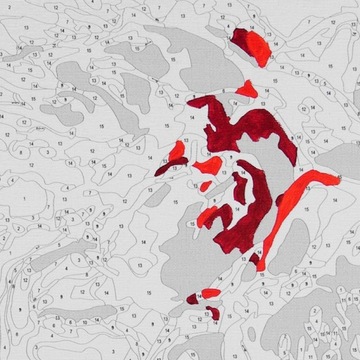 КРАСКИ ПО ЦИФРАМ КАРТИНА В рамке Цветок Женщина