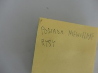 фото thumb №6, Mazda rx8 rx-8 скло двері лівий перед ліва