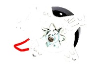 фото thumb №2, Насос wody japko