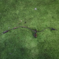 фото thumb №1, 2020 mini one - cooper f56 f55 датчик abs гальма заднього 0265007368