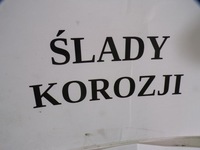 фото thumb №15, Fiat croma ii капот передняя лак 272/b