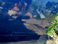 фото thumb №8, Дверь перед левый bmw x3 x-3 i e83 2003-2010 giełda pń