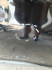 фото thumb №2, Дверь передние правое hyundai i20 ii hb