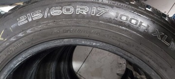 Зимняя шина Nokian WR SUV 3 215/60R17 100H XL