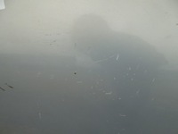 фото thumb №5, Thalia i lift дверь задняя левая 4d