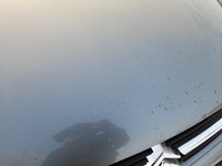 фото thumb №7, Citroen c5 i капот крышка двигателя eytc