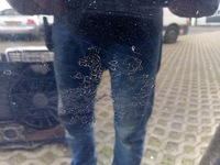 фото thumb №15, Перед kompletny audi a6 c6 lift чёрный ly9b