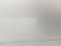 фото thumb №8, Bmw 3 e91 e90 дверь правое перед titansilber 354