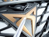 фото thumb №11, Решётка радиатора решётка радиатора seat leon iv cupra 5fa853651c