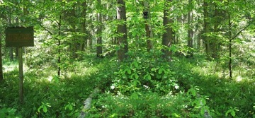 МАЛЕНЬКАЯ КАМЕРА draVires ФОТОКАМЕРА КАМЕРА КАМЕРА-ЛОВУШКА