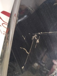 фото thumb №5, Капот крышка двигателя vw passat b8