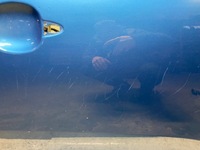 фото thumb №3, Kia sportage iii дверь правые перед передние 5b 10-