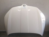 фото thumb №1, Капот