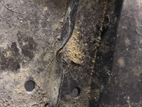 фото thumb №11, Proace jumpy expert захист pod бампер 9808501880