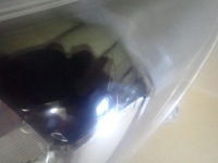 фото thumb №8, Лампа ліва фара toyota hilux 8 viii lift 20-