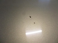 фото thumb №8, Крыша обшивка крыша avensis t25 kombi 6t1 opole