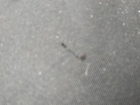 фото thumb №8, Полка задняя багажника vw jetta 5c 2011- 5c6863413d