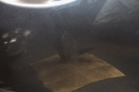 фото thumb №11, Двері правий задня toyota auris i 1g3 hb