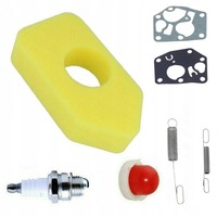 фото thumb №13, Stratton briggs набір фільтр membrany пружини